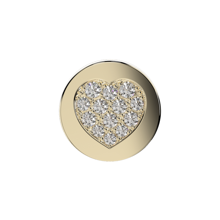 DCC009